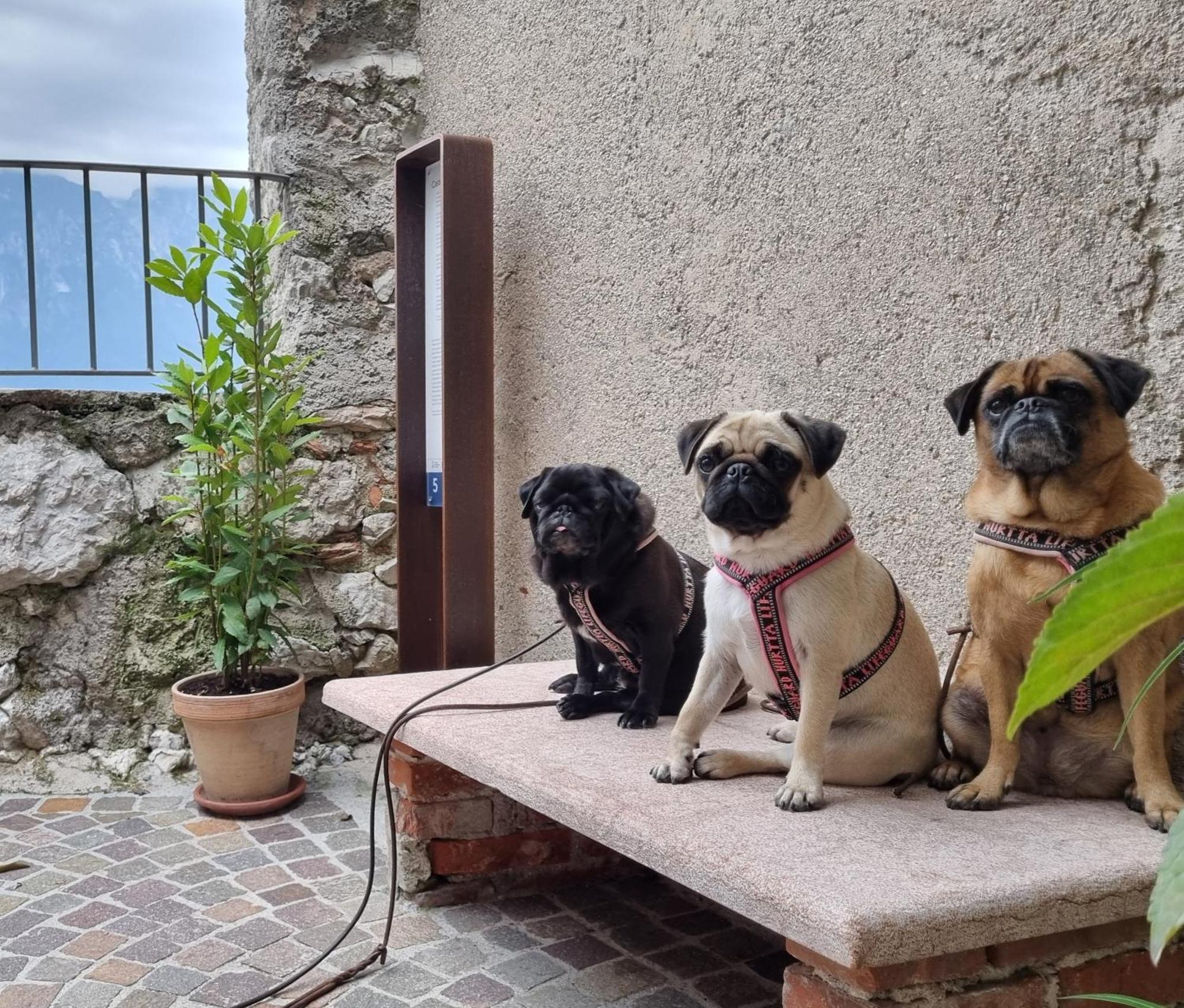 Locanda Al Castelletto Tremosine Εξωτερικό φωτογραφία